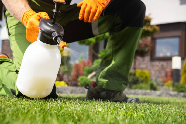 Best Termite Control Services  in County Center, VA