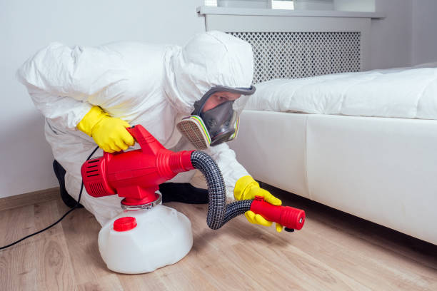 Best Rat Extermination Near Me  in County Center, VA