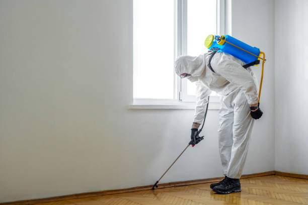 Best Wasp Removal Services  in County Center, VA