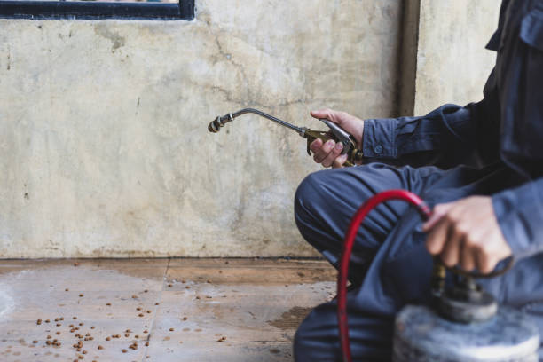 Best Wasp Removal Services  in County Center, VA
